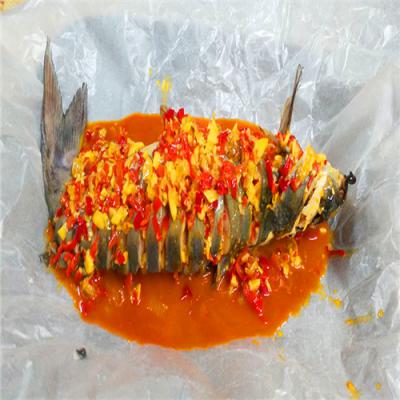 紙包魚技術草莓视频污黄下载學校哪裏靠譜？多樣化經營