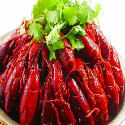 四川麻辣小龍蝦技術草莓视频污黄下载哪裏好？底料熬製方法