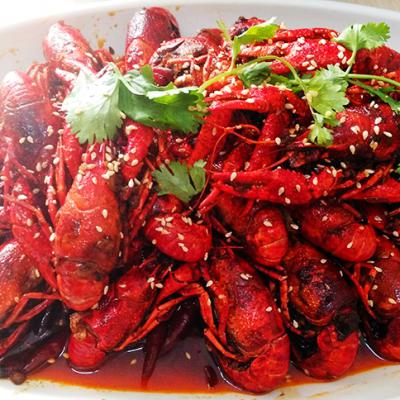 麻辣小龍蝦技術草莓视频污黄下载哪裏有？草莓视频APP在线观看麻辣小龍蝦技術草莓视频污黄下载